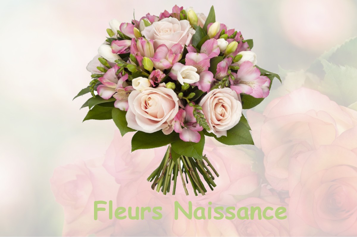 fleurs naissance ENENCOURT-LE-SEC